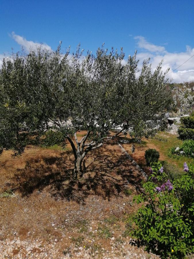 Apartman Luis Silence Šestanovac Dış mekan fotoğraf